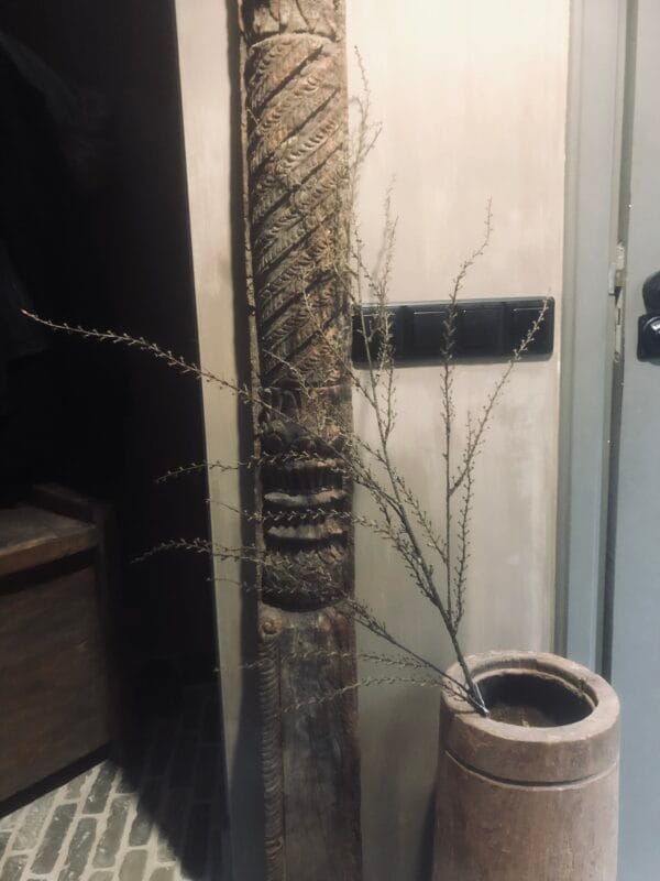 Kunst corokia