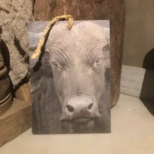 Houten bordje stier