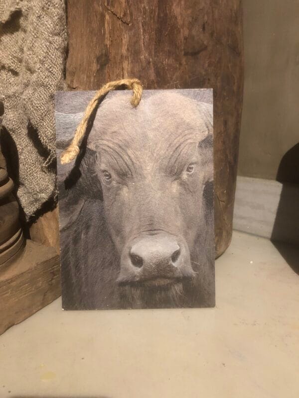 Houten bordje stier