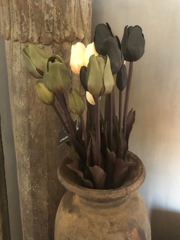 Kunst tulpen 🖤 creme