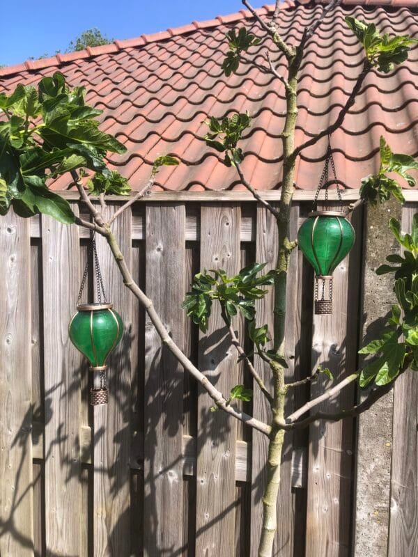 Solar luchtballon🖤 1 +1 gratis