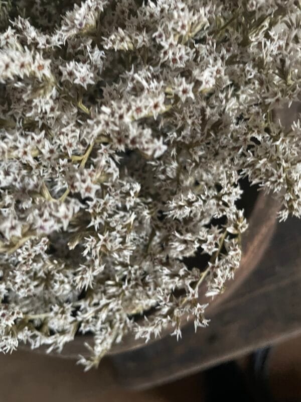 Bosje ingedroogde bloemen 🌹 - Afbeelding 2