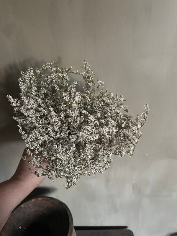 Bosje ingedroogde bloemen 🌹 - Afbeelding 3