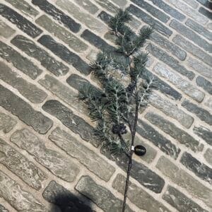 Kunst jenever bessen tak 🤎