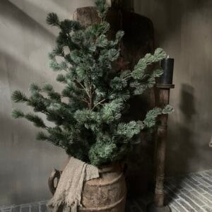 Kunst larix boom 🤎🌲