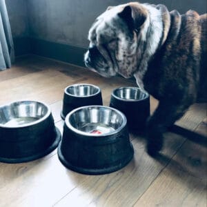 Honden voer/water bak🖤middel