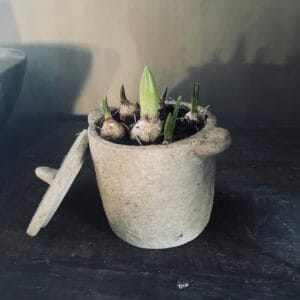 Stenen pot 🖤 knolletjes