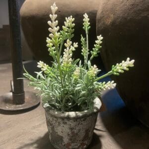 Potje met kunst druifjes