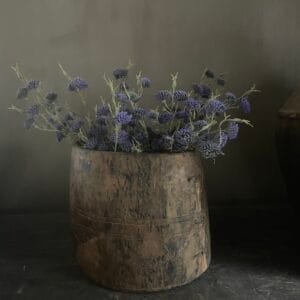 Bosje kunst gillia 🤎🖤