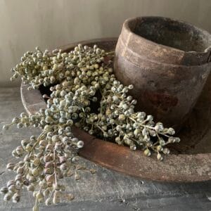 Kunst dadel tak 🤎 groen/bruin